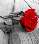 Brief History of Valentine's Day